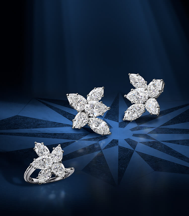 Harry Winston  Academy Award Winner Natalie Portman wearing Diamond V  Shape Cluster necklace Diamond Drop earrings  Facebook